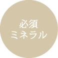必須ミネラル