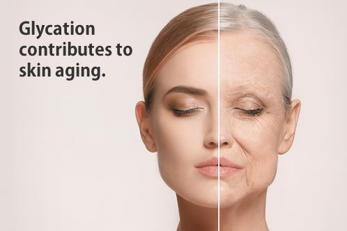 糖化はお肌の老化に繋がってくる
